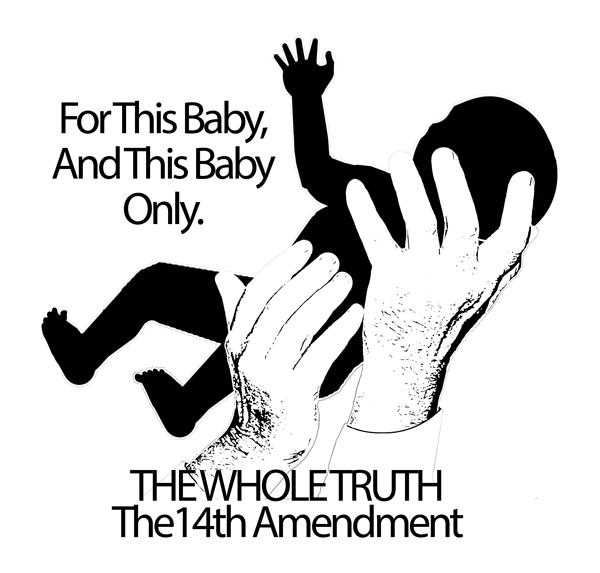 Black Citizens National Birth Right Campaign The 1866 Civil Rights 14th Amendment Super 